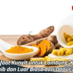 Manfaat Kunyit untuk Lambung, Khasiat Ajaib dan Luar Biasa dari Dapur Anda