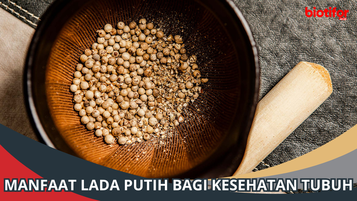 7 Manfaat Lada Putih Bagi Kesehatan Tubuh