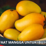 Manfaat Mangga untuk Ibu Hamil