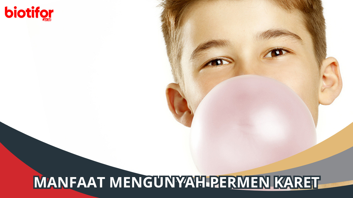 Ternyata ini Manfaat Mengunyah Permen Karet, Mengejutkan! Biotifor