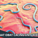 Manfaat Obat Cacing untuk Dewasa