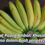 Manfaat Pisang Ambon: Khasiat Luar Biasa dalam Buah yang Lezat