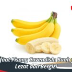 Manfaat Pisang Cavendish: Buah yang Lezat dan Bergizi