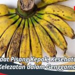 Manfaat Pisang Kepok, Kesehatan dan Kelezatan dalam Genggaman