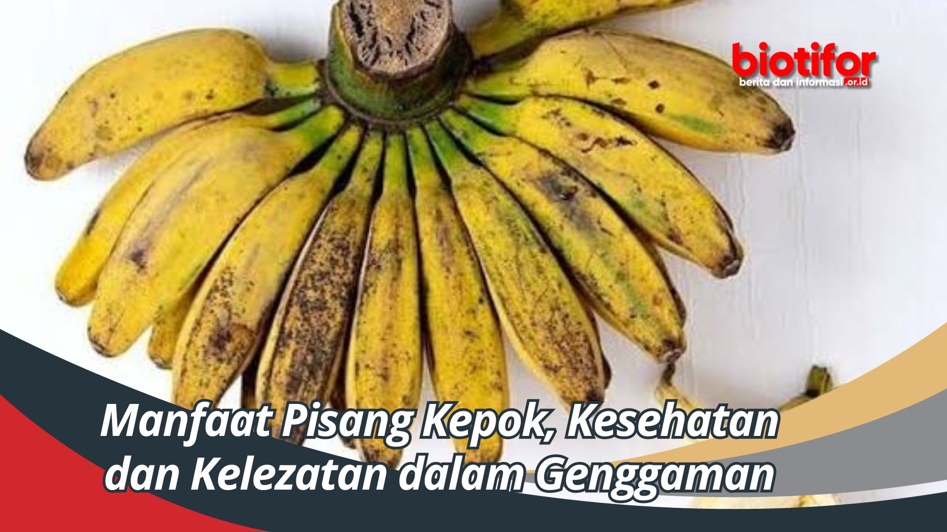 Manfaat Pisang Kepok, Kesehatan dan Kelezatan dalam Genggaman