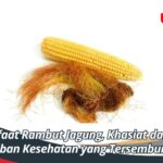 Manfaat Rambut Jagung, Khasiat dan Keajaiban Kesehatan yang Tersembunyi