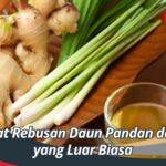 Manfaat Rebusan Daun Pandan dan Jahe yang Luar Biasa