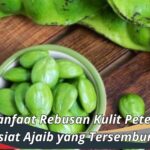 Manfaat Rebusan Kulit Pete: Khasiat Ajaib yang Tersembunyi