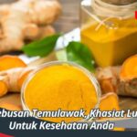 Manfaat Rebusan Temulawak, Khasiat Luar Biasa Untuk Kesehatan Anda