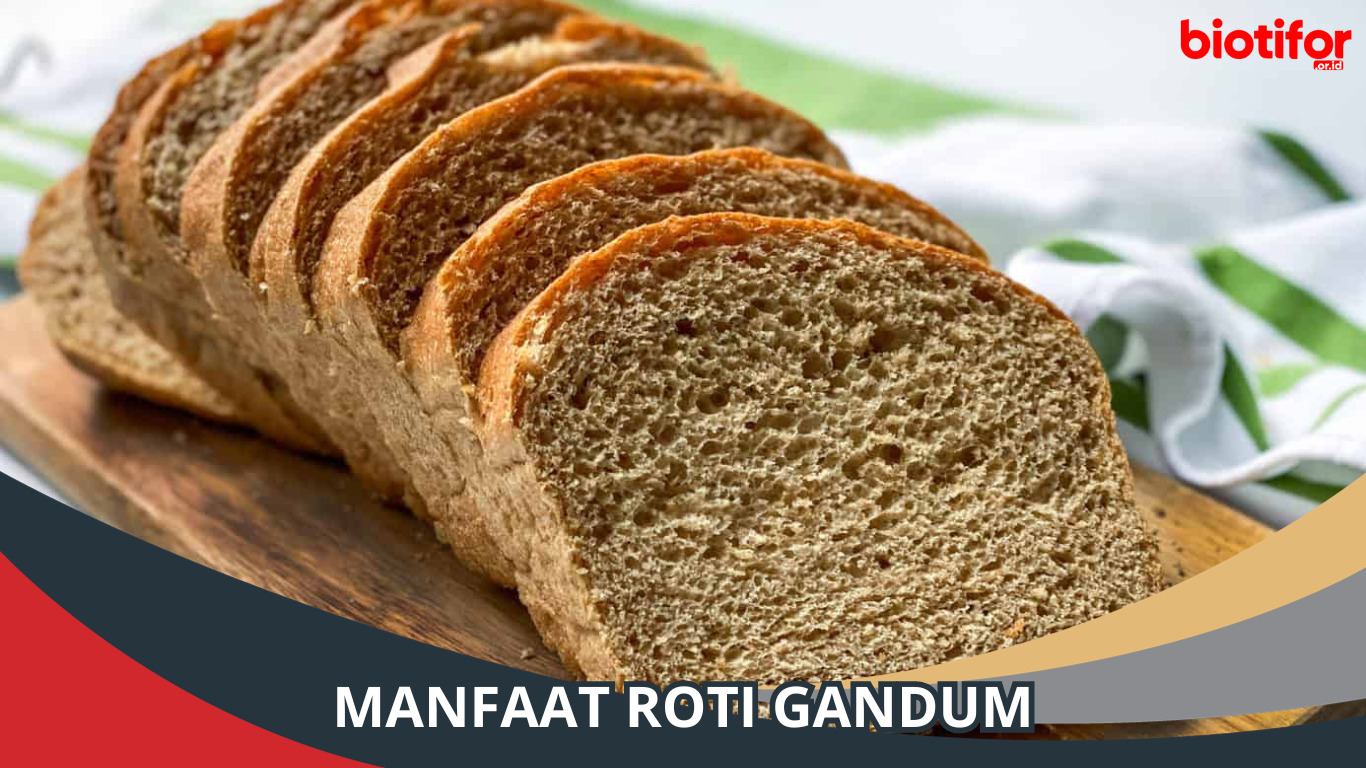 9 Manfaat Roti Gandum, Kesehatan dalam Setiap Gigitan!