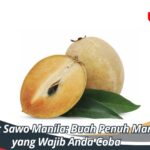 Manfaat Sawo Manila: Buah Penuh Manfaat yang Wajib Anda Coba