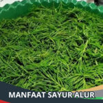 Manfaat Sayur Alur