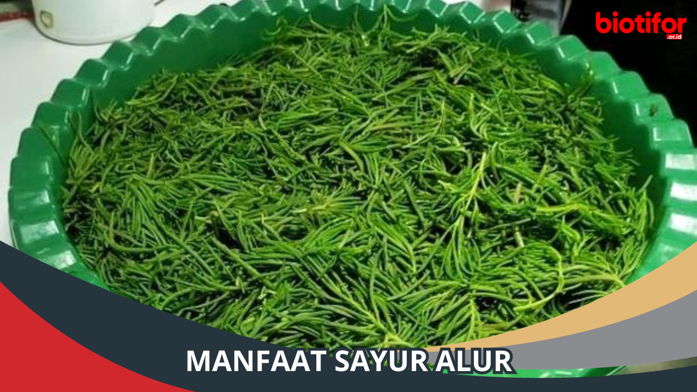 8 Manfaat Sayur Alur untuk Kesehatan, Meredakan Diabetes