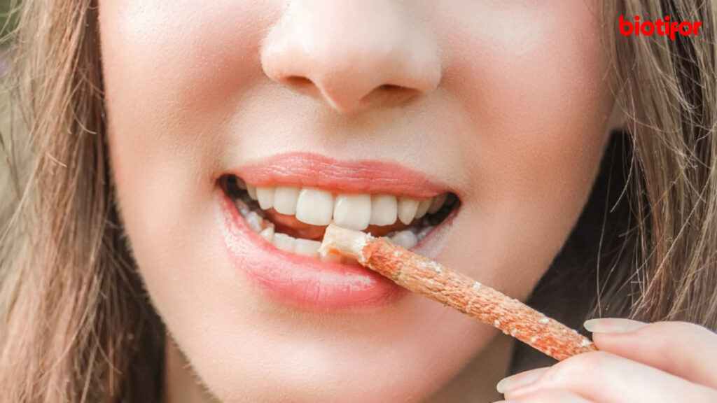 Manfaat Siwak Bagi Kesehatan Gigi