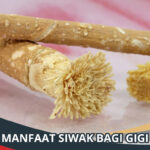 Manfaat Siwak Bagi Gigi