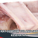 Manfaat Sumsum Tulang Sapi