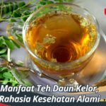 Manfaat Teh Daun Kelor, Rahasia Kesehatan Alami