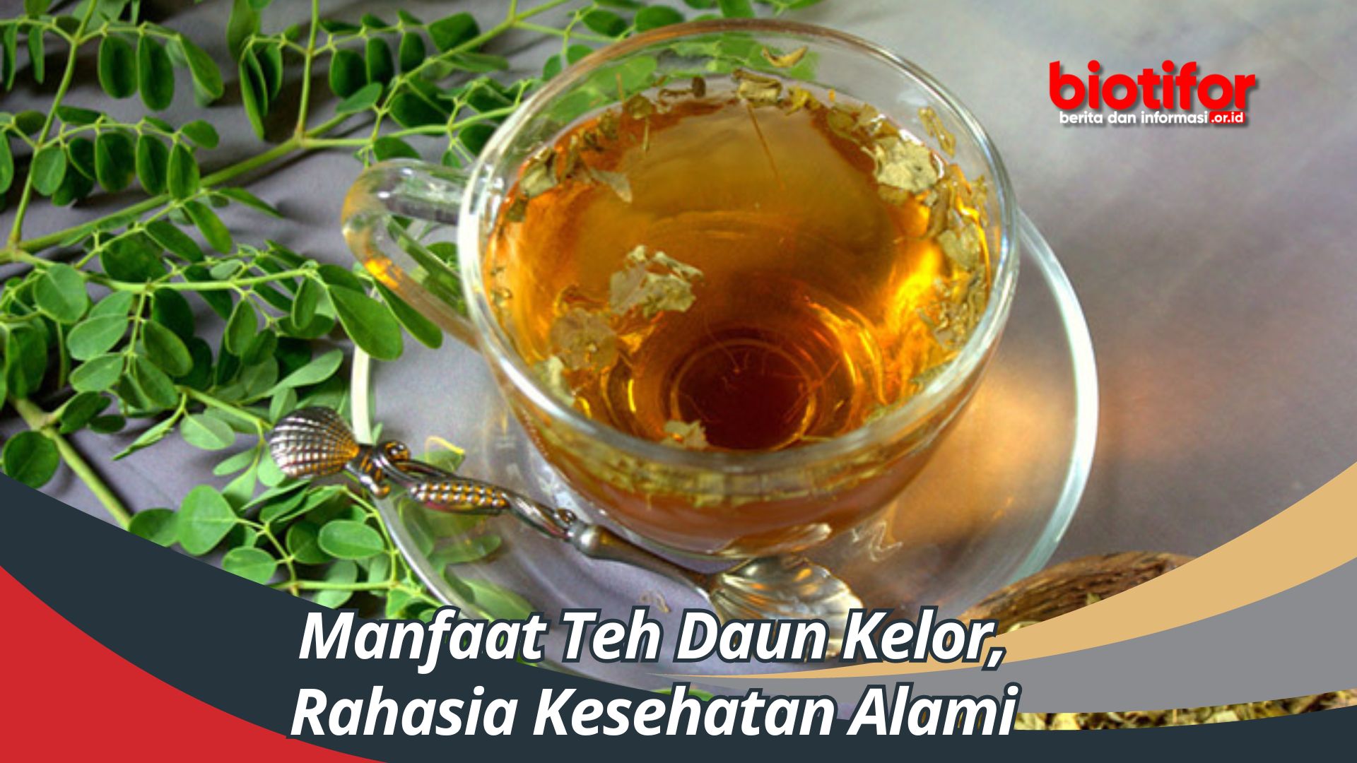 Manfaat Teh Daun Kelor, Rahasia Kesehatan Alami