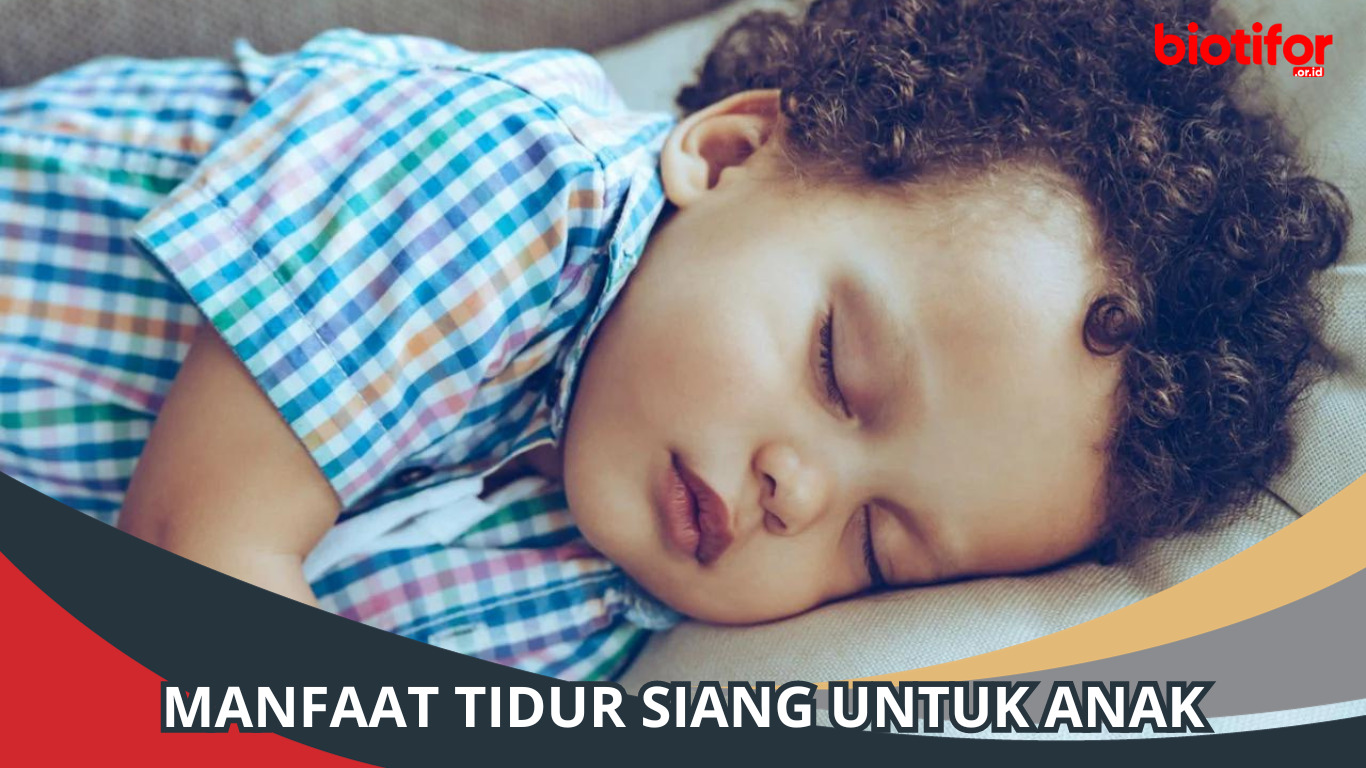 Manfaat Tidur Siang untuk Anak