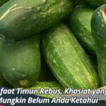 Manfaat Timun Rebus, Khasiat yang Mungkin Belum Anda Ketahui