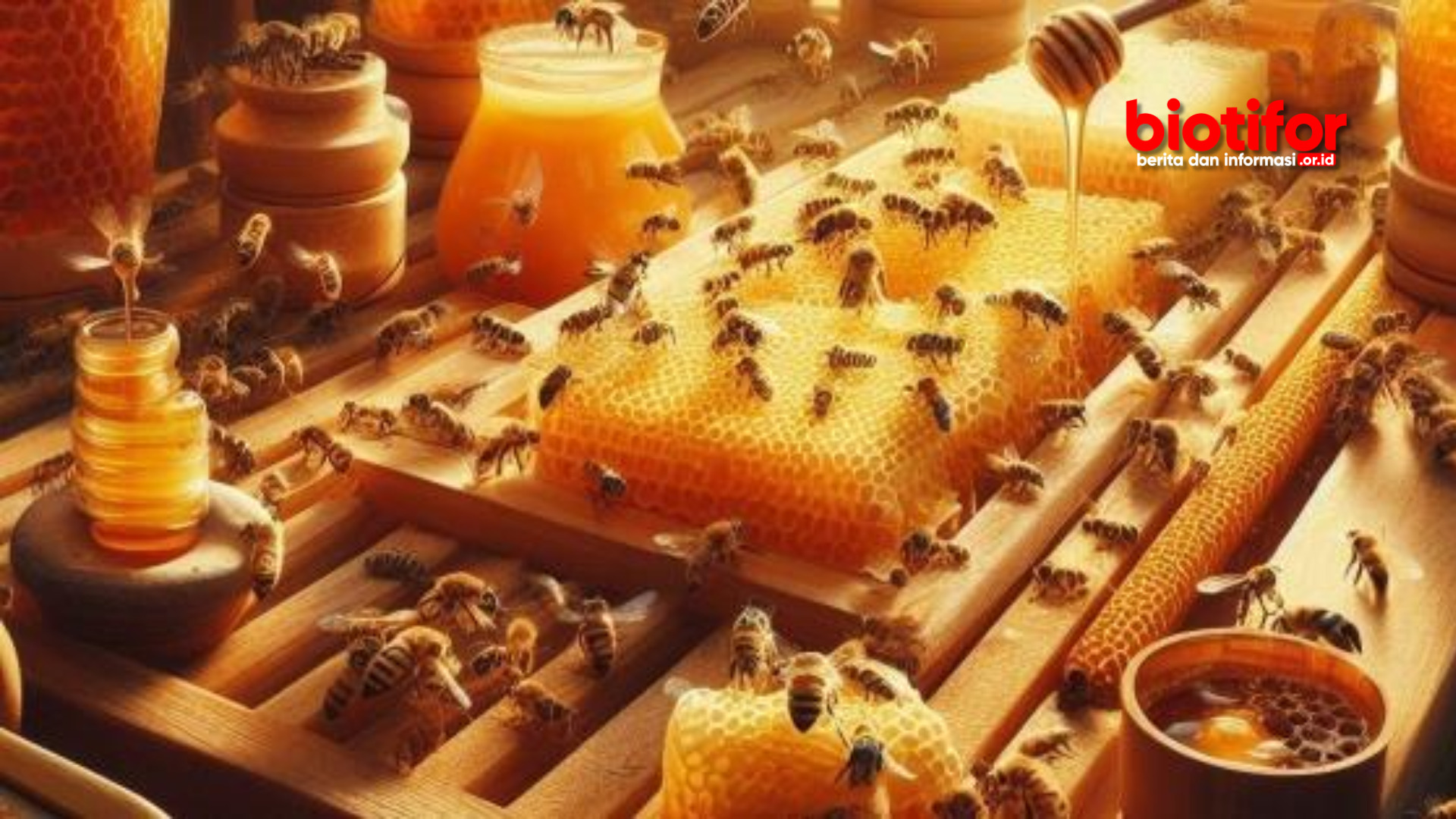 Memulai Budidaya Lebah Madu