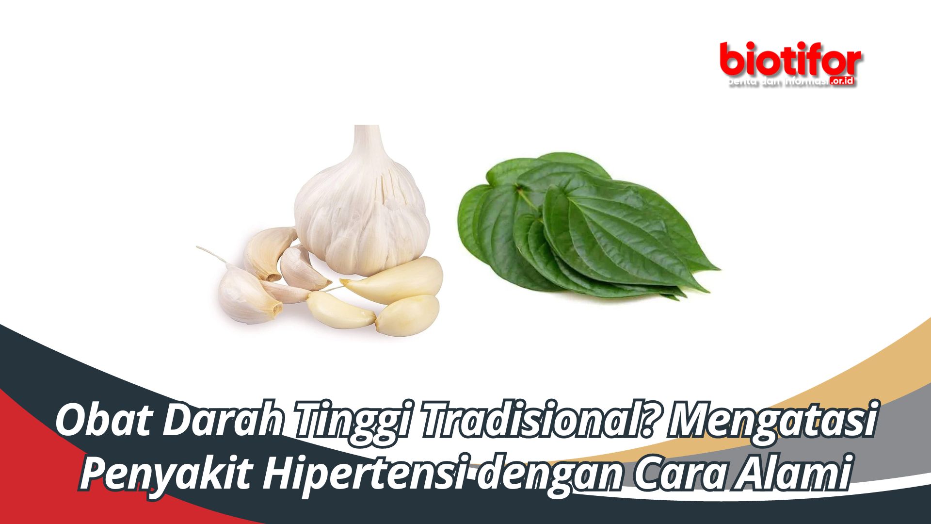 Obat Darah Tinggi Tradisional? Mengatasi Penyakit Hipertensi dengan Cara Alami