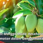 Manfaat Mangga Muda: Kesehatan dan Kenikmatan dalam Genggaman Anda