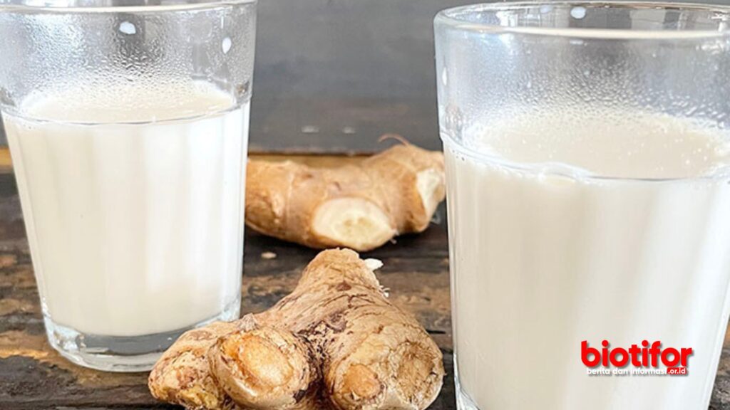 Manfaat Susu Jahe untuk Kesehatan, Keajaiban Minuman Sehat yang Menggugah Selera
