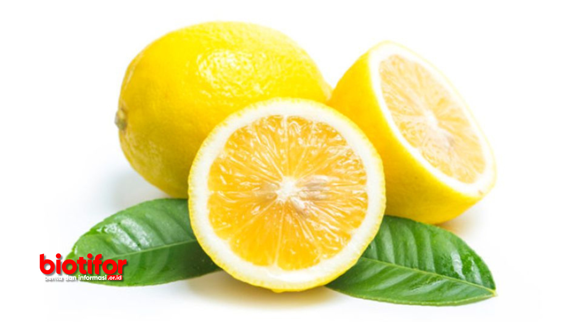 manfaat jeruk lemon