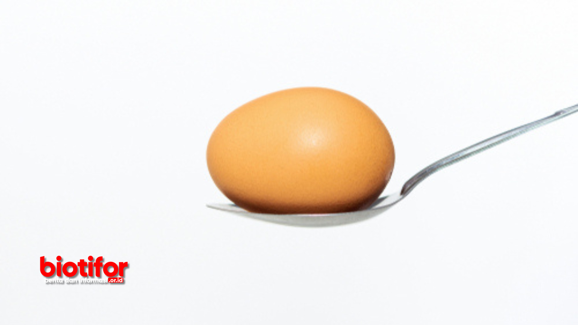Cara Merebus Telur Agar Mudah Dikupas