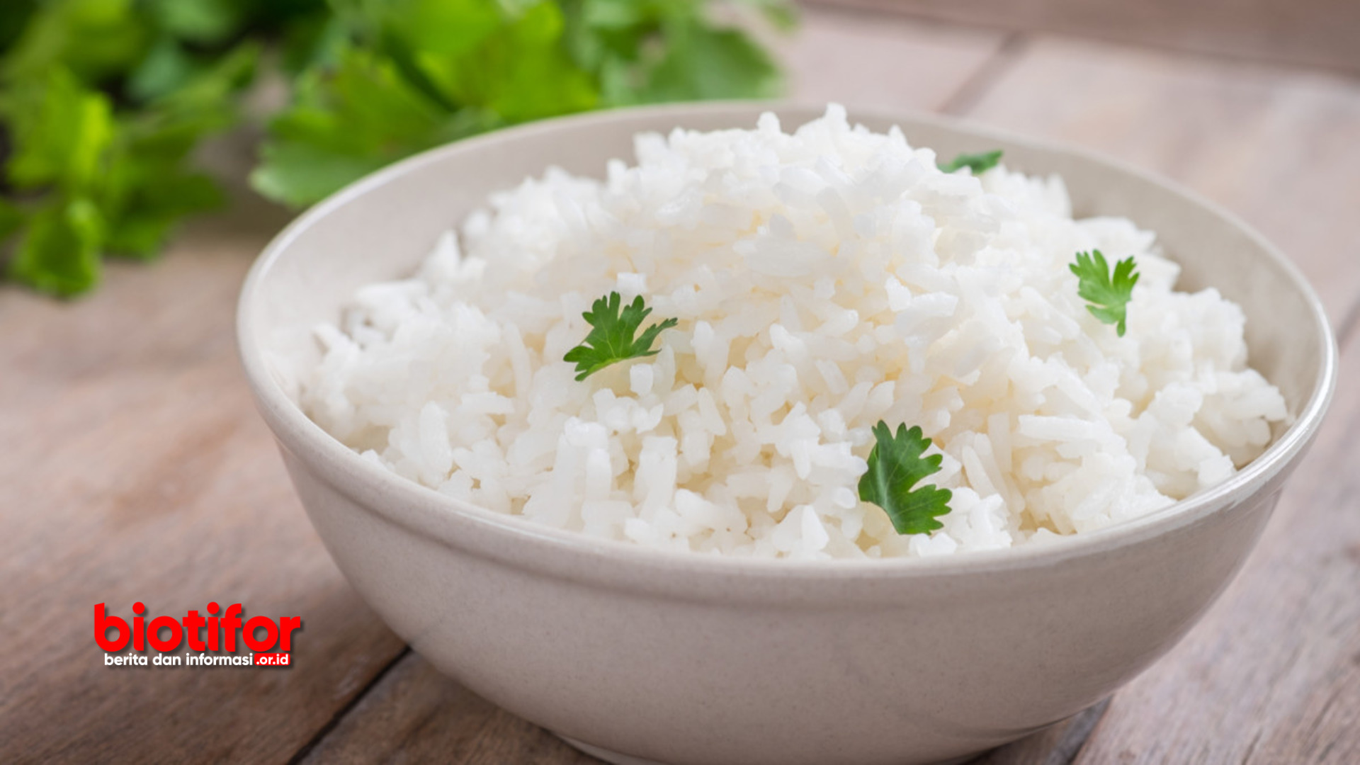 Cara Mengatasi Mual Saat Makan Nasi