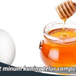 khasiat minum kuning telur campur madu