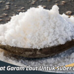 Manfaat Garam Laut