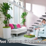 Manfaat Tanaman di Dalam Ruangan