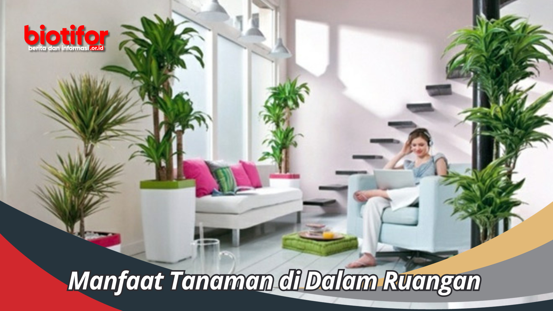 Manfaat Tanaman di Dalam Ruangan Kesejukan Dan Sangat DI Butuhkan