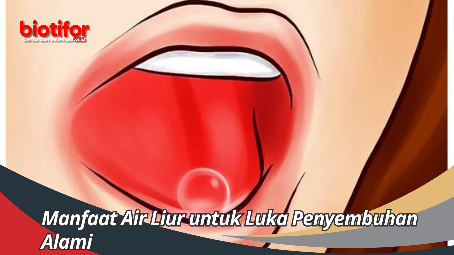 Banyak Yang Tidak Tau Manfaat Air Liur untuk Luka Penyembuhan Alami yang Luar Biasa