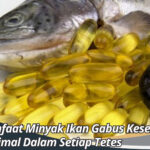 Manfaat Minyak Ikan Gabus