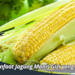 Manfaat Jagung Manis