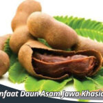 Manfaat Daun Asam Jawa