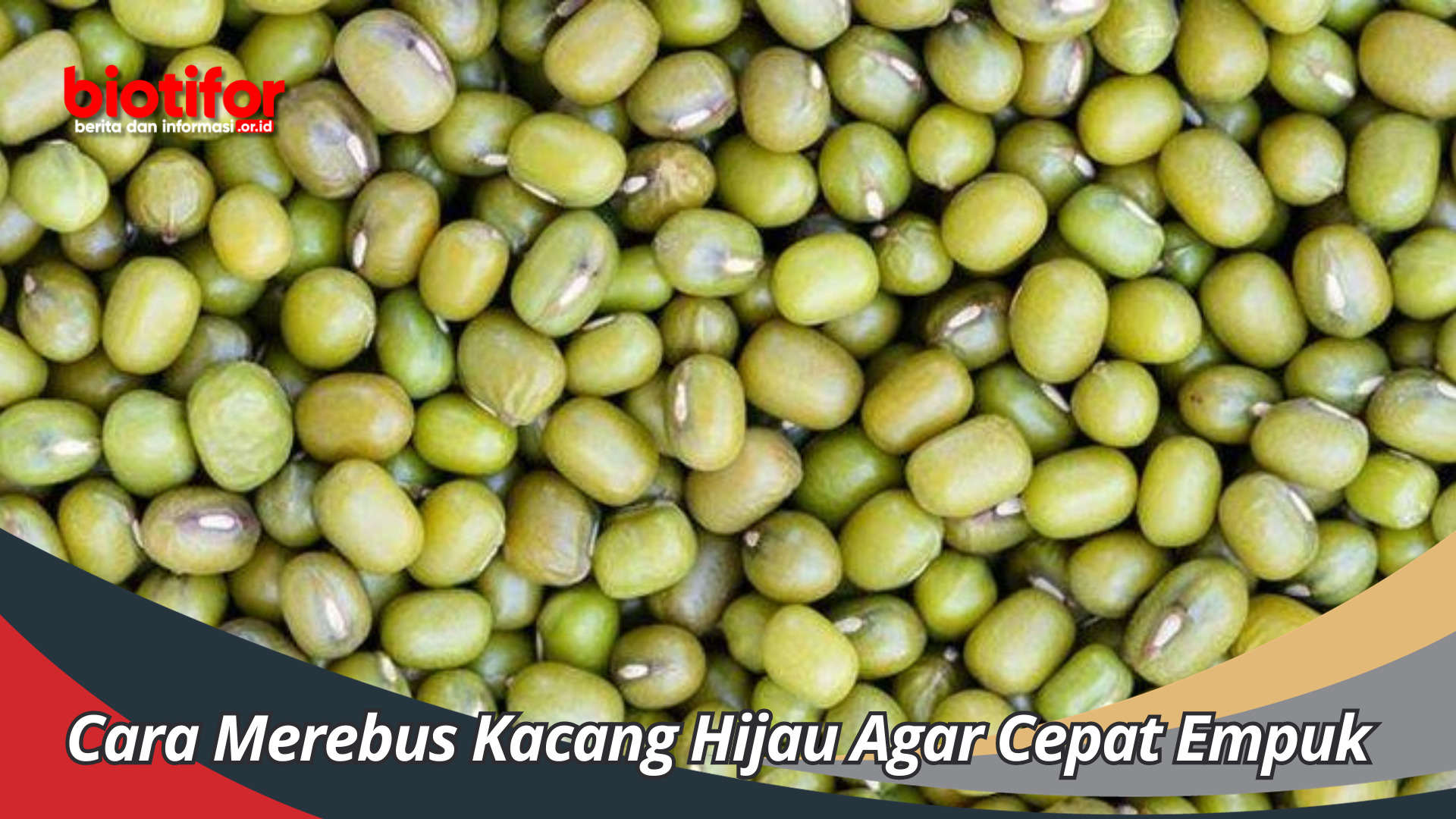 Cara Merebus Kacang Hijau Agar Cepat Empuk Merata Dan Enak Untuk Di Konsumsi