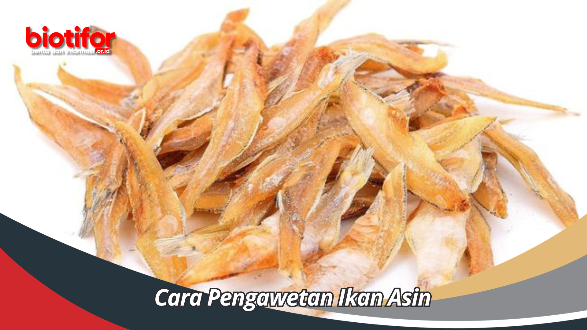 Cara Pengawetan Ikan Asin Yang Perlu Anda Tau Untuk Memahami Kesehatanya