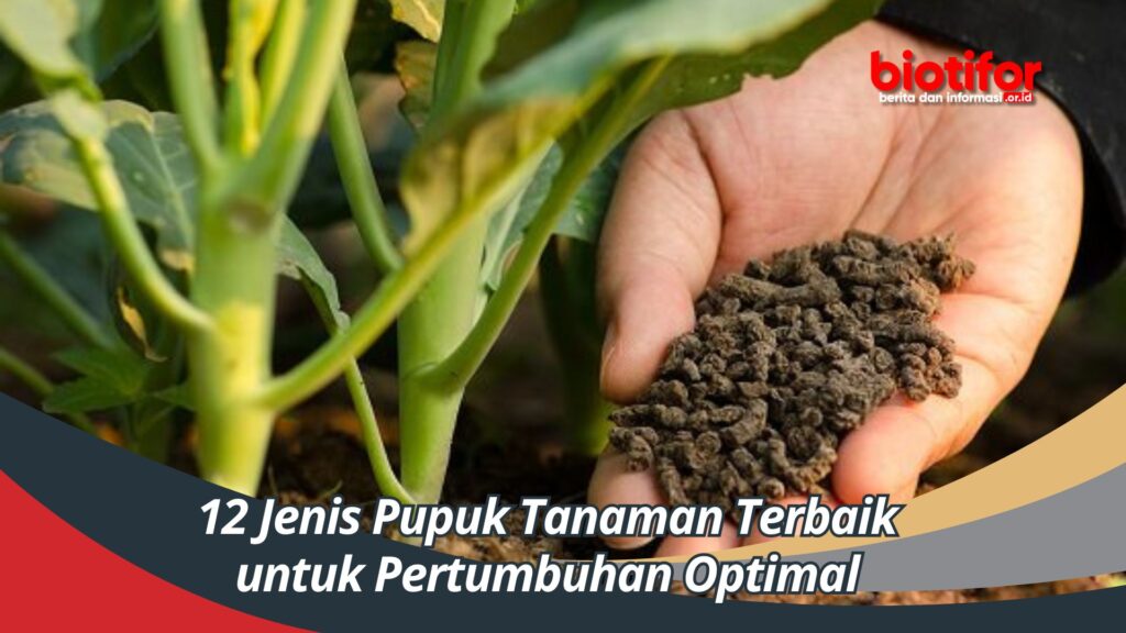 Jenis-Jenis Pupuk Yang Cocok Untuk Budidaya Tanaman