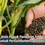 12 Jenis Pupuk Tanaman Terbaik untuk Pertumbuhan Optimal