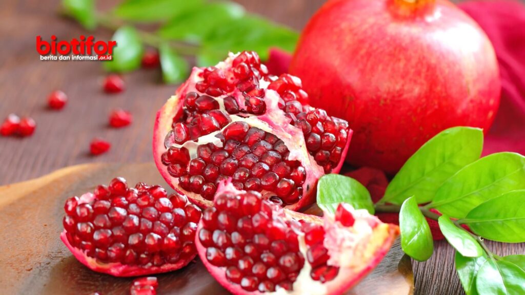 manfaat buah delima