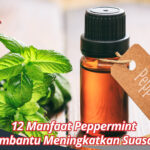 Manfaat Peppermint