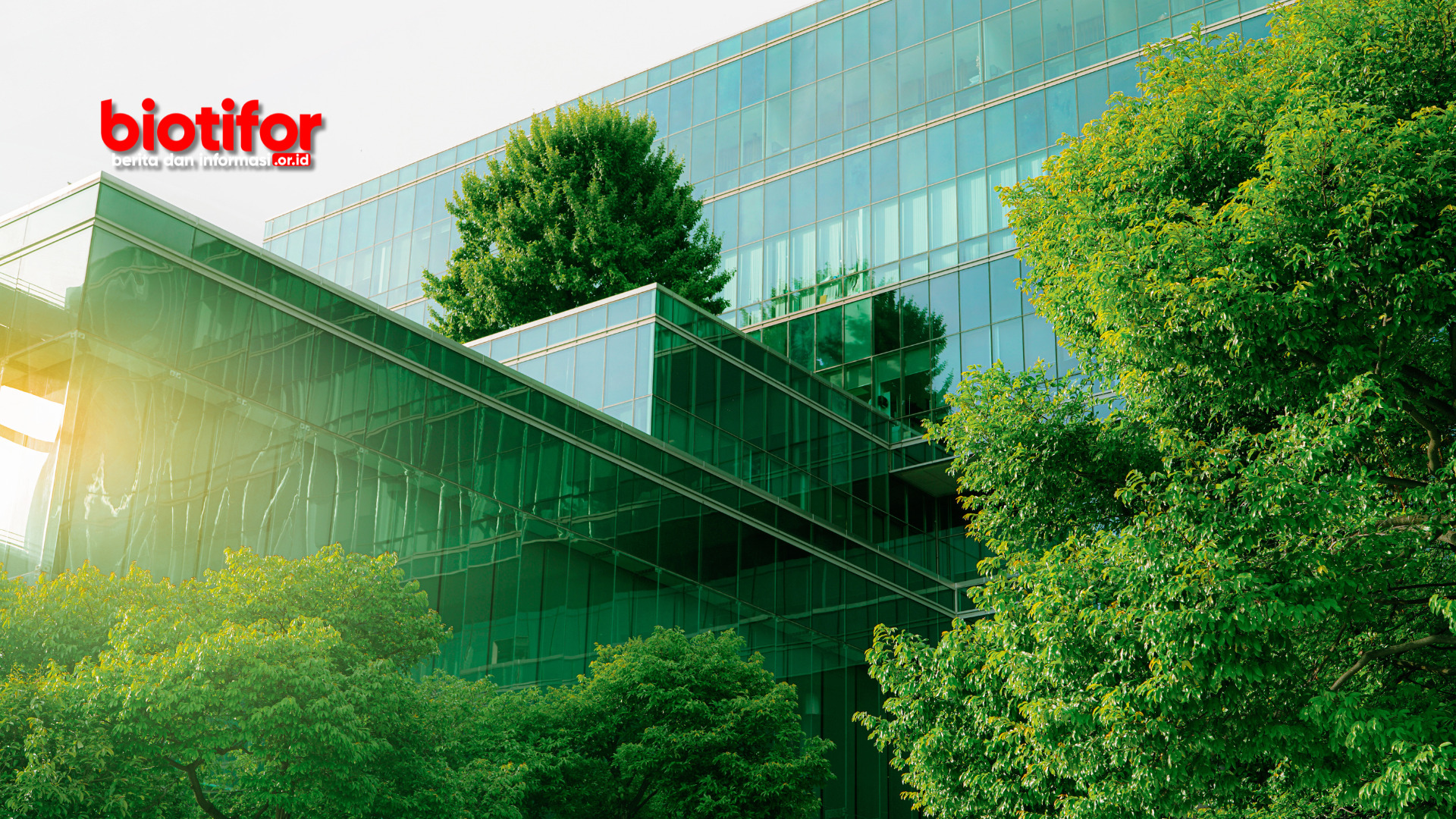Hidup Ramah Lingkungan: Langkah Kecil, Dampak Besar untuk Bumi Kita Hidup Ramah Lingkungan: Langkah Kecil, Dampak Besar untuk Bumi Kita