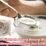 Manfaat Minuman Sarang Burung Walet