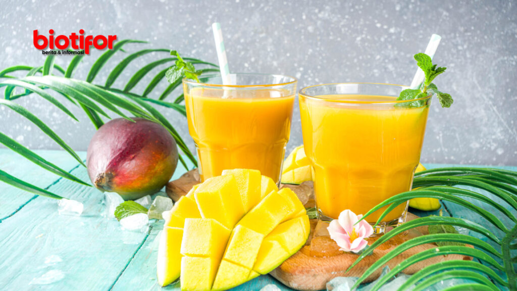 Smoothie Mangga Tropical