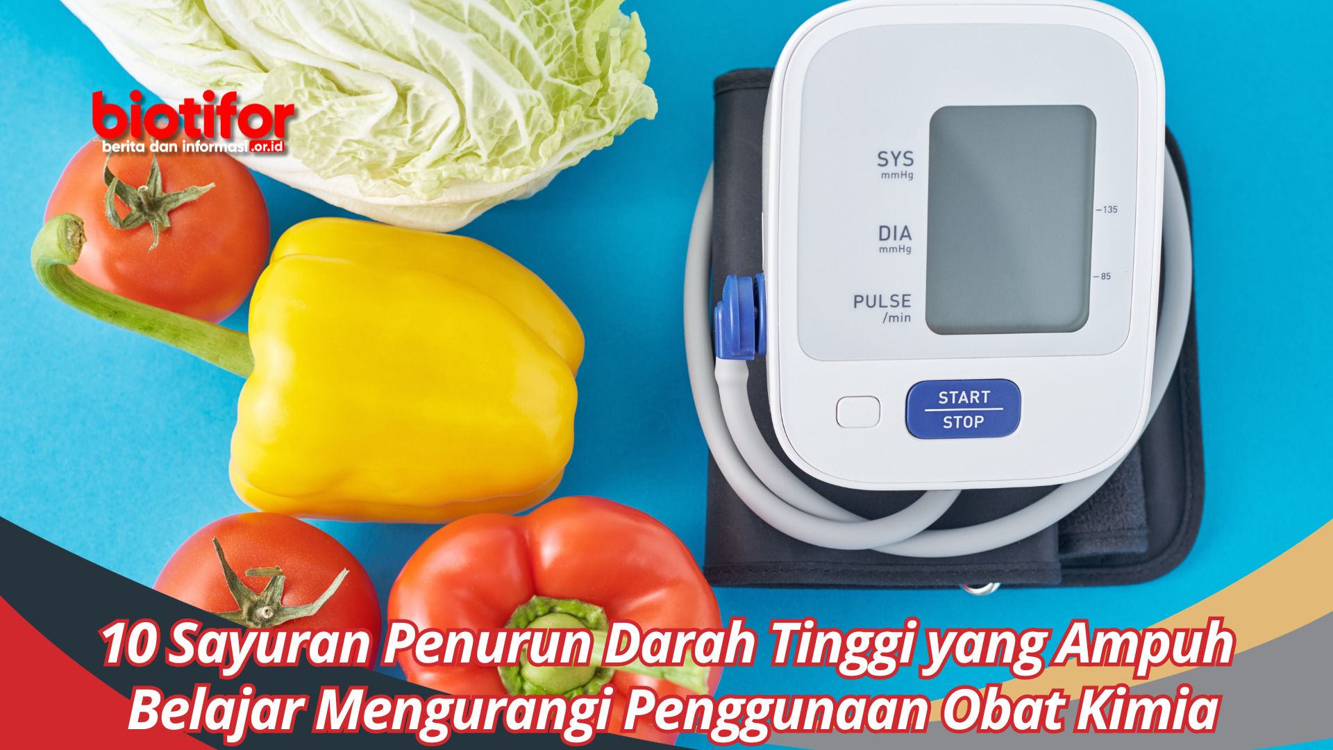 10 Sayuran Penurun Darah Tinggi yang Ampuh, Belajar Mengurangi Penggunaan Obat Kimia