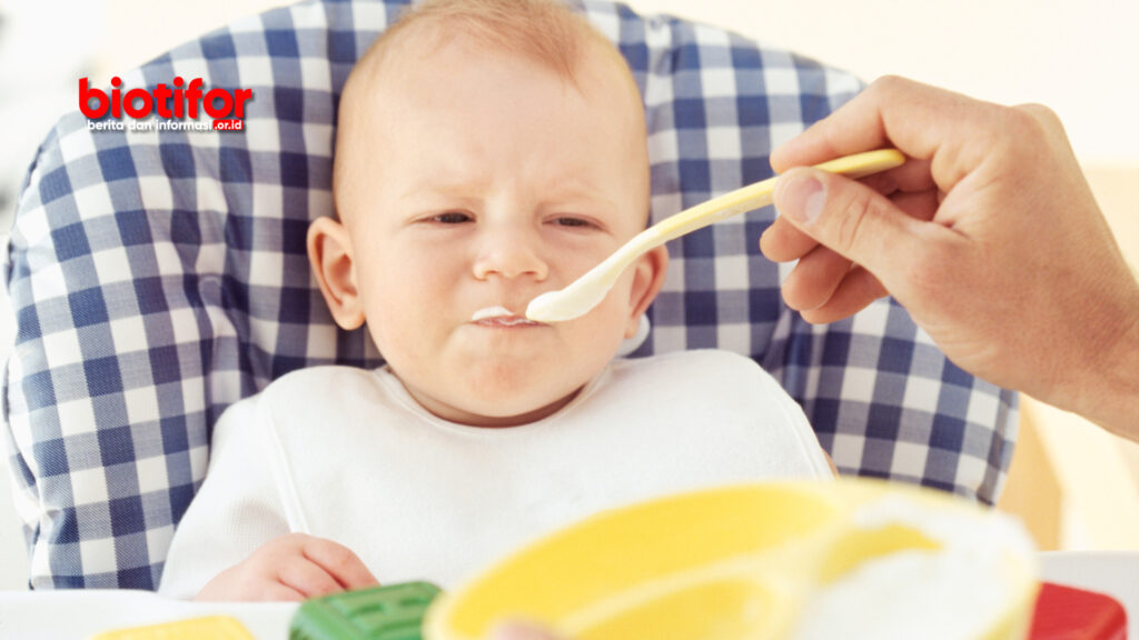 Makanan Penambah berat badan bayi 6-12 bulan
